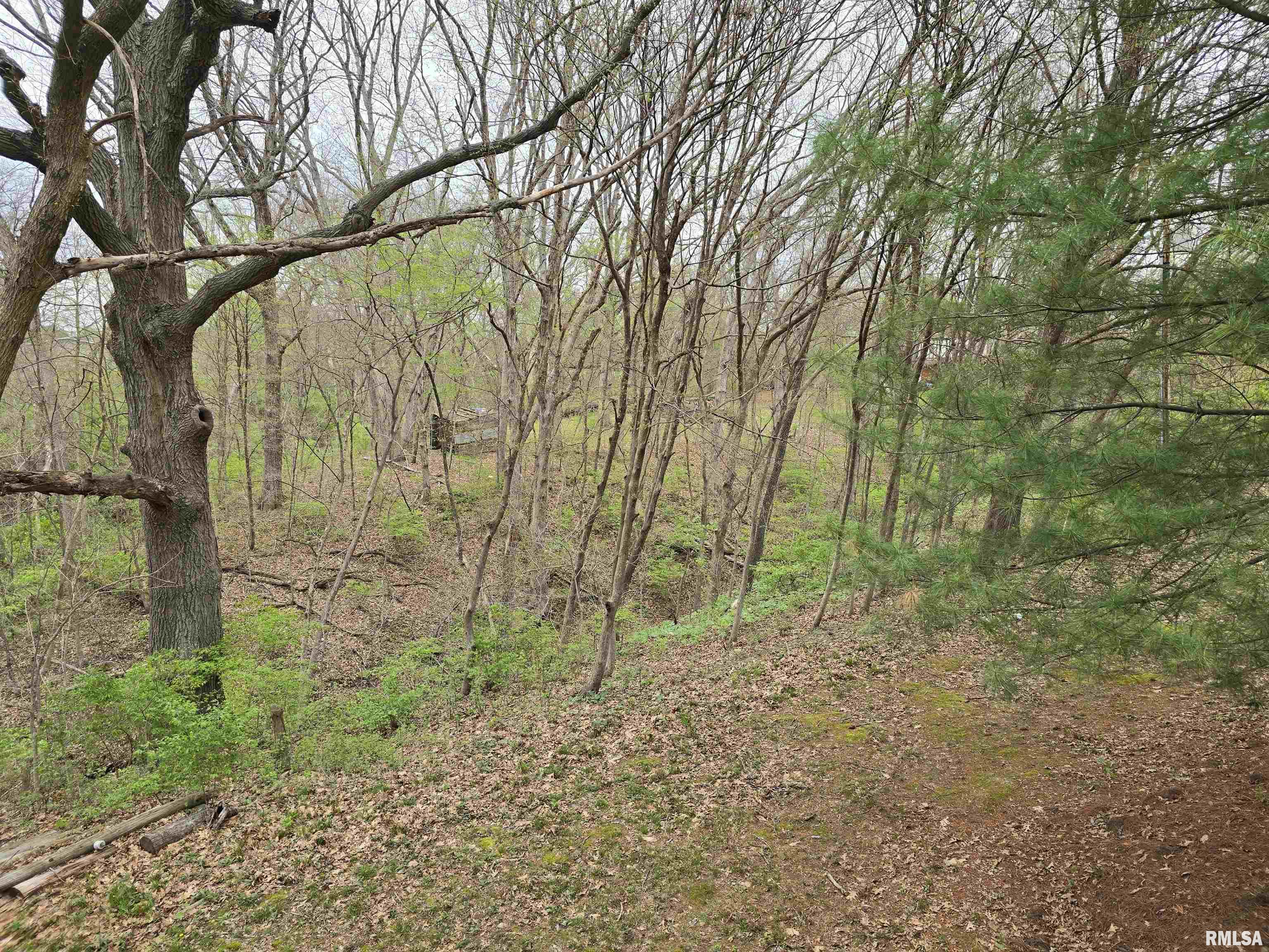 25692 North Martin Road Canton, IL 61520 - Photo 62 of 67