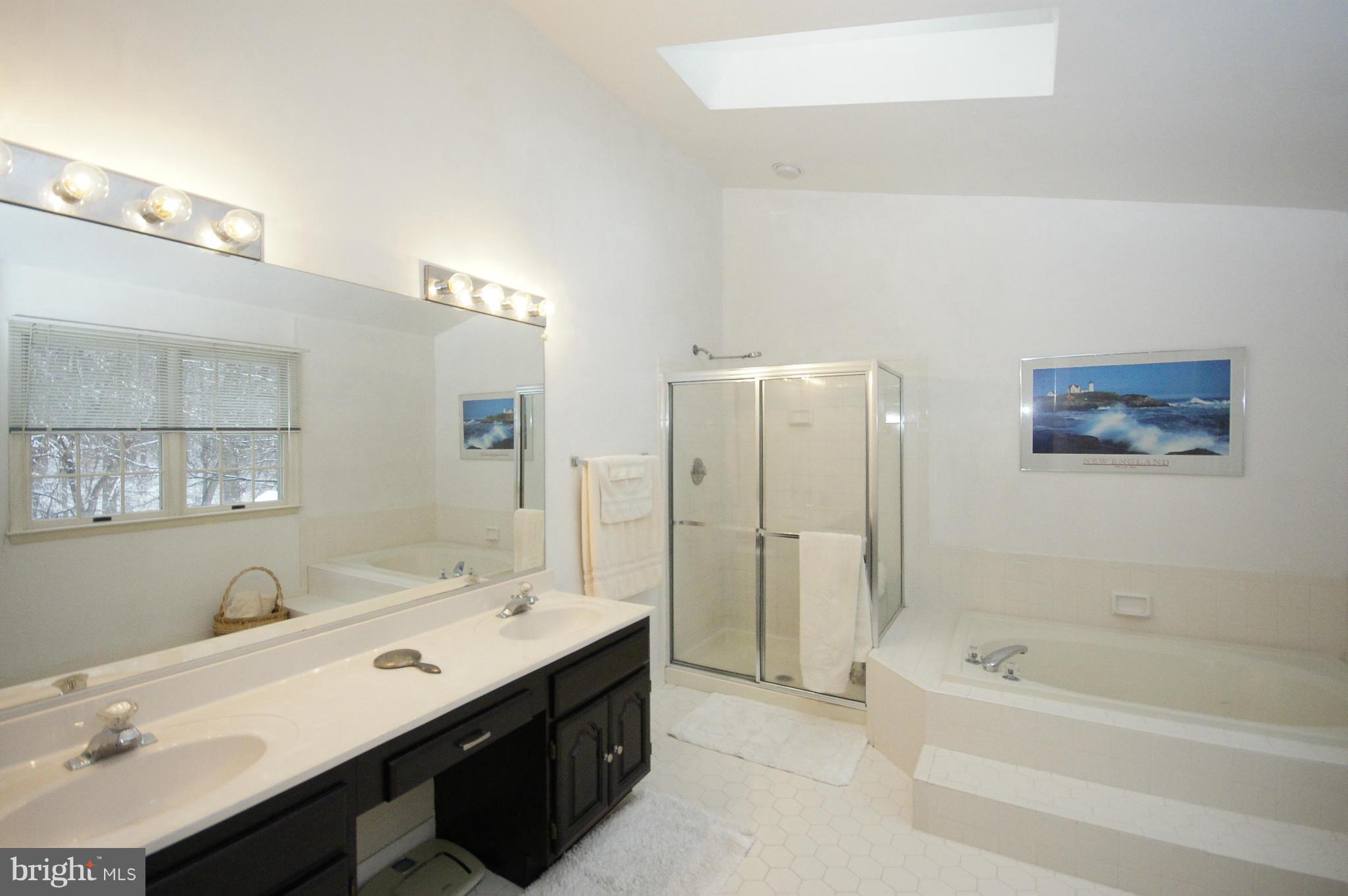 9729 Starling Road Ellicott City, MD 21042 - Photo 16 of 28 Luxury Master Bath with Dual Sinks