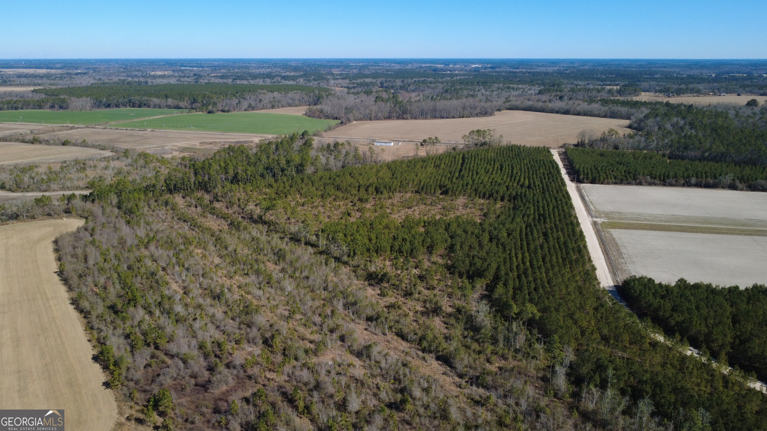 5 Greyhound Road Mershon, GA 31551 - Photo 3 of 3