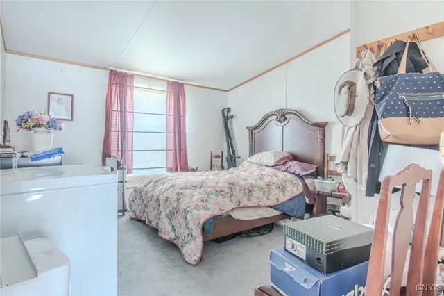 $129,900 | 14188 State Street, Diana, NY 13648