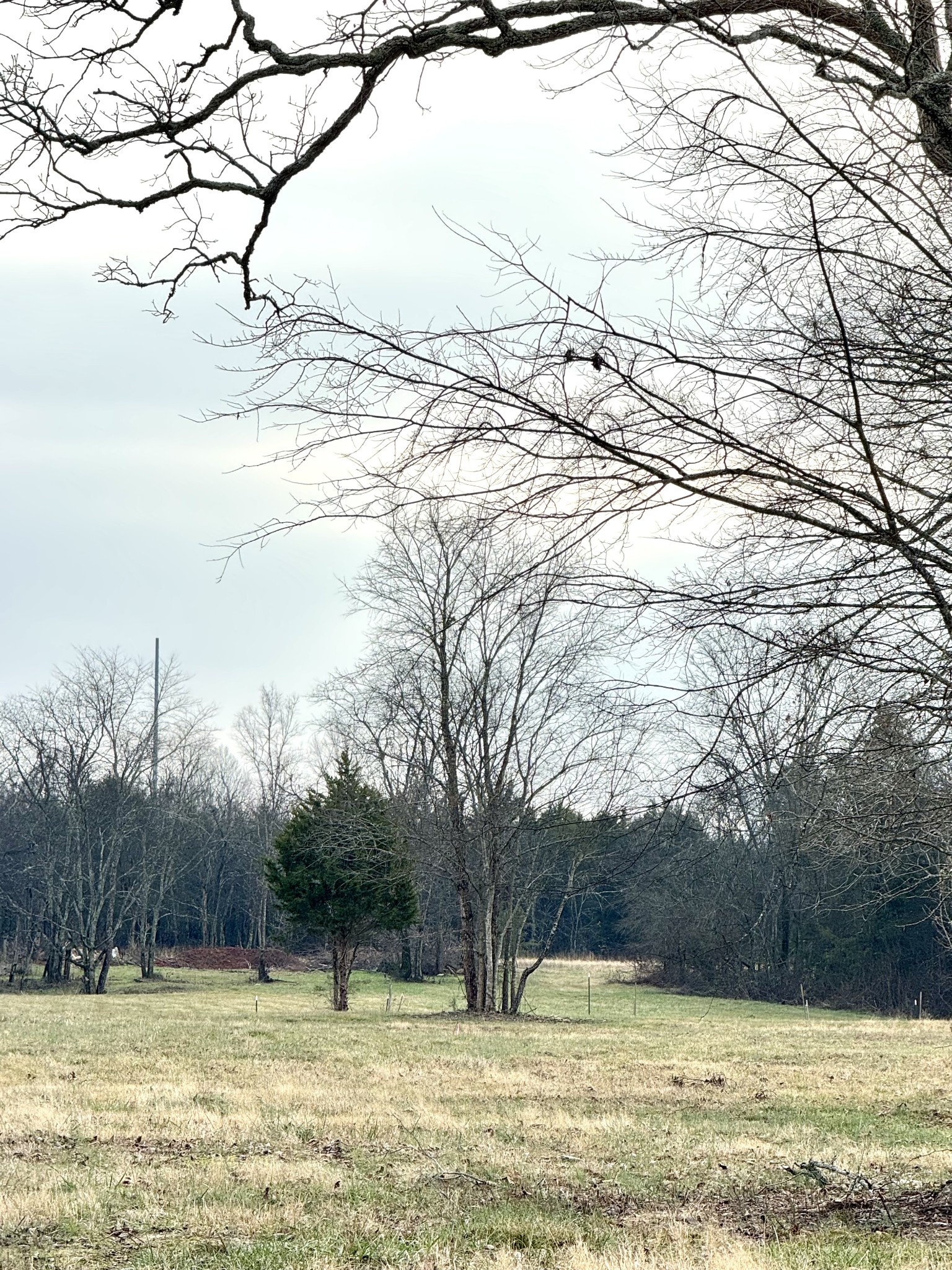 0 Vesta Road Lebanon, TN 37090 - Photo 2 of 6 a view of a swimming pool and a yard