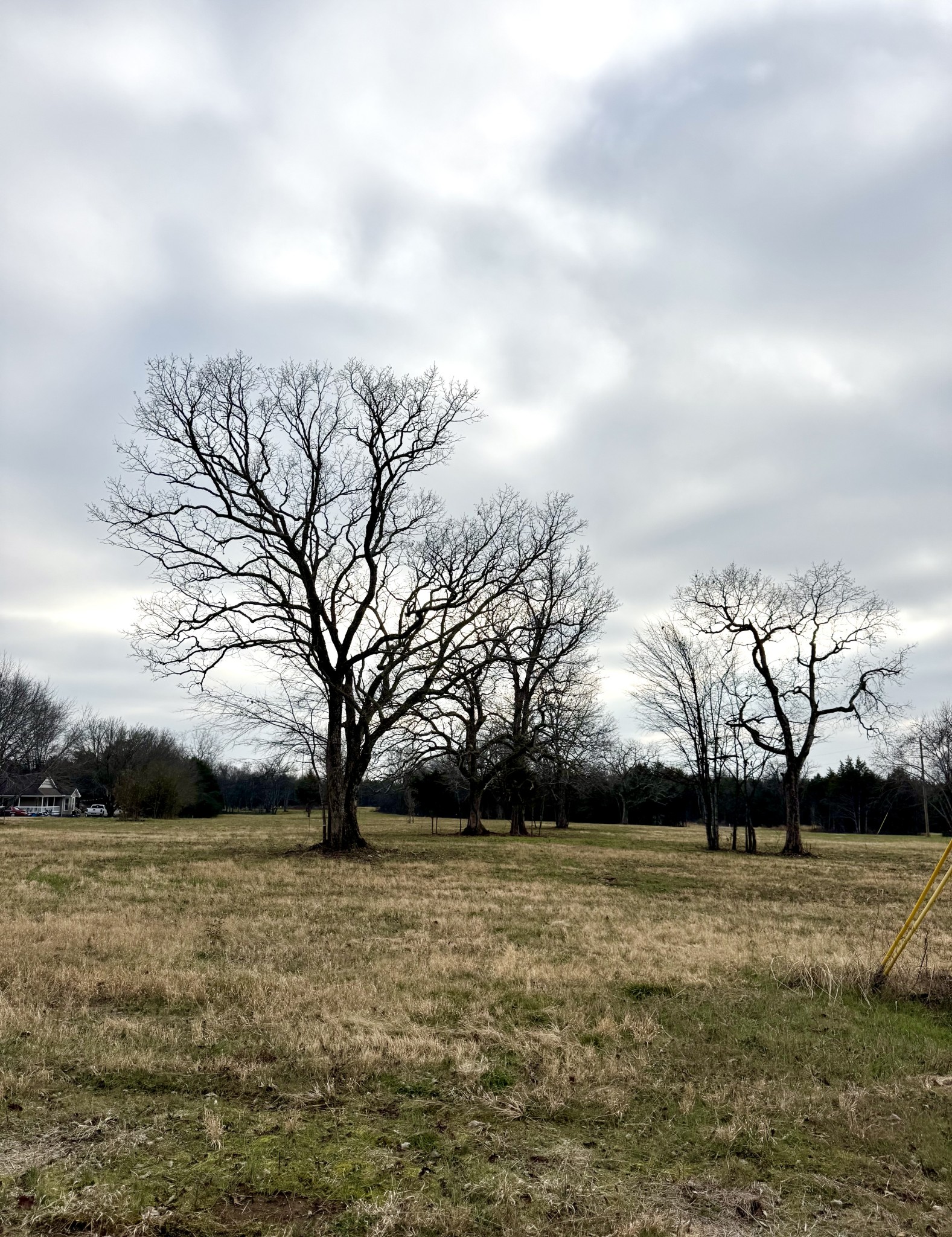 0 Vesta Road Lebanon, TN 37090 - Photo 4 of 6 a view of house with yard