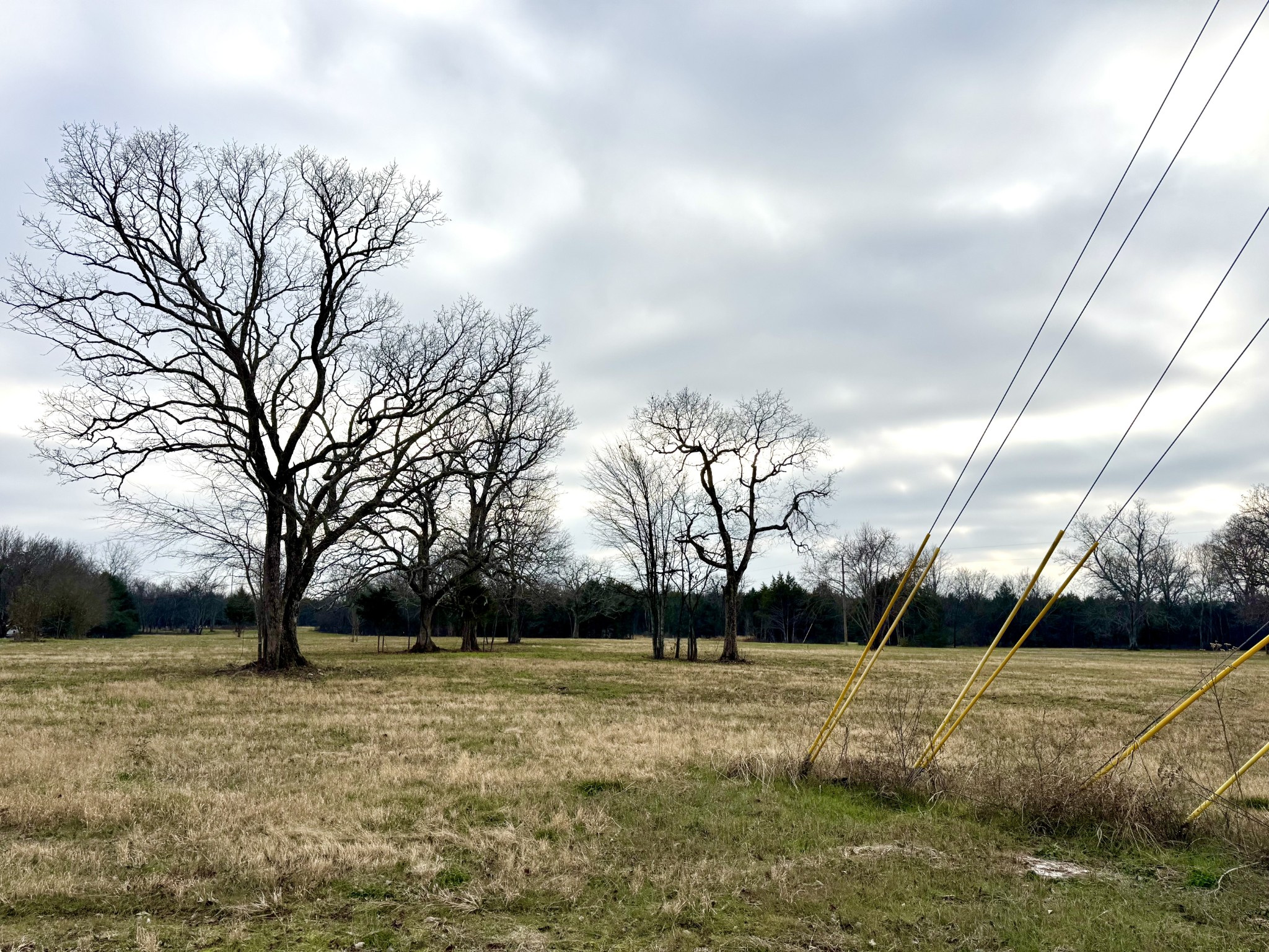 0 Vesta Road Lebanon, TN 37090 - Photo 5 of 6