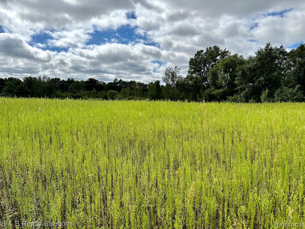 0 Fish Lake Road North Branch, MI 48461 - Photo 11 of 20