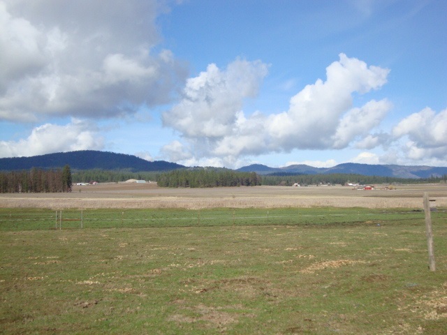 Xx South Wallbridge Road Deer Park, WA 99006 - Photo 1 of 19