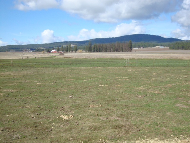 Xx South Wallbridge Road Deer Park, WA 99006 - Photo 2 of 19