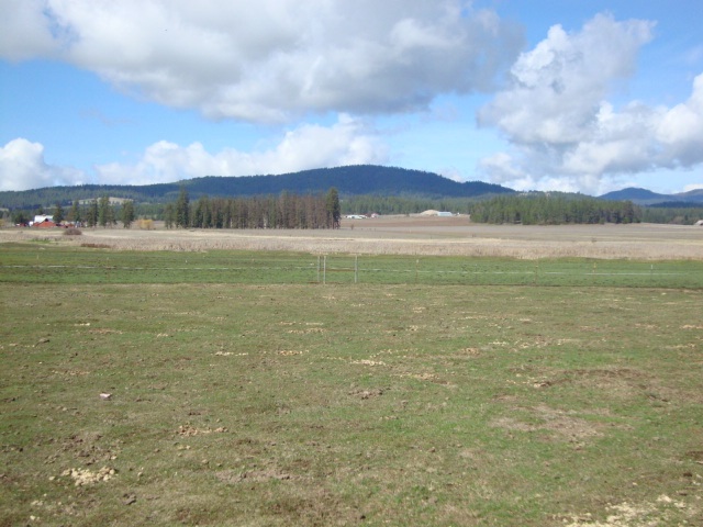 Xx South Wallbridge Road Deer Park, WA 99006 - Photo 11 of 19
