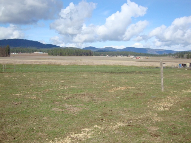 Xx South Wallbridge Road Deer Park, WA 99006 - Photo 12 of 19