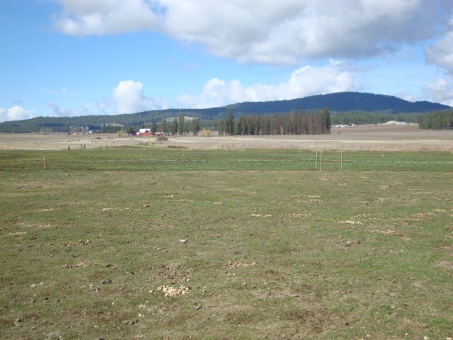 Xx South Wallbridge Road Deer Park, WA 99006 - Photo 13 of 19