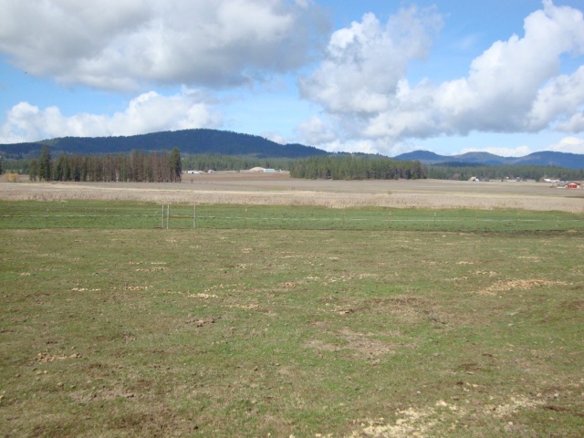 Xx South Wallbridge Road Deer Park, WA 99006 - Photo 14 of 19