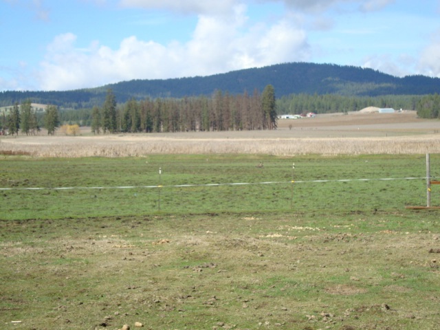 Xx South Wallbridge Road Deer Park, WA 99006 - Photo 15 of 19
