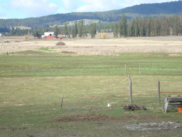 Xx South Wallbridge Road Deer Park, WA 99006 - Photo 16 of 19