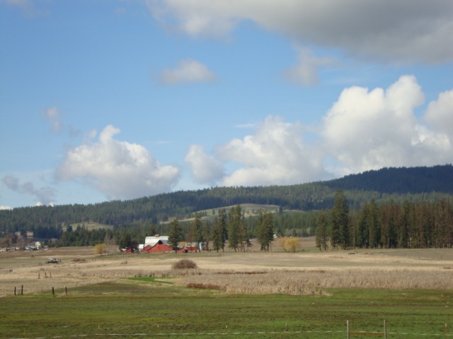 Xx South Wallbridge Road Deer Park, WA 99006 - Photo 17 of 19