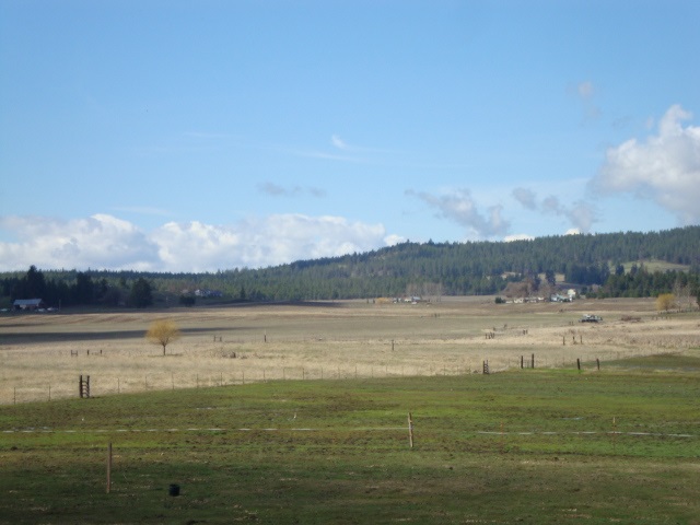 Xx South Wallbridge Road Deer Park, WA 99006 - Photo 18 of 19