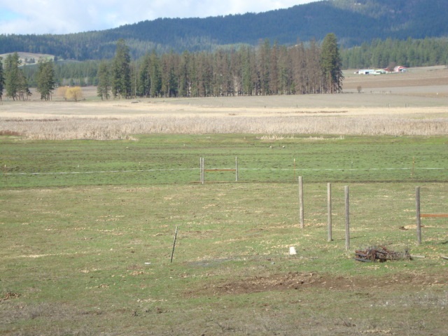 Xx South Wallbridge Road Deer Park, WA 99006 - Photo 3 of 19