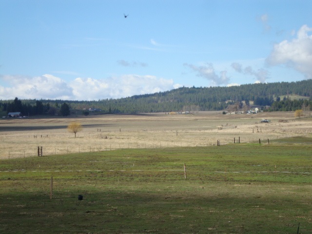 Xx South Wallbridge Road Deer Park, WA 99006 - Photo 5 of 19