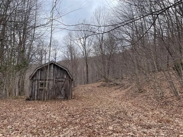 $59,000 | 4-11 West Highland Road, Hobart, NY 13788