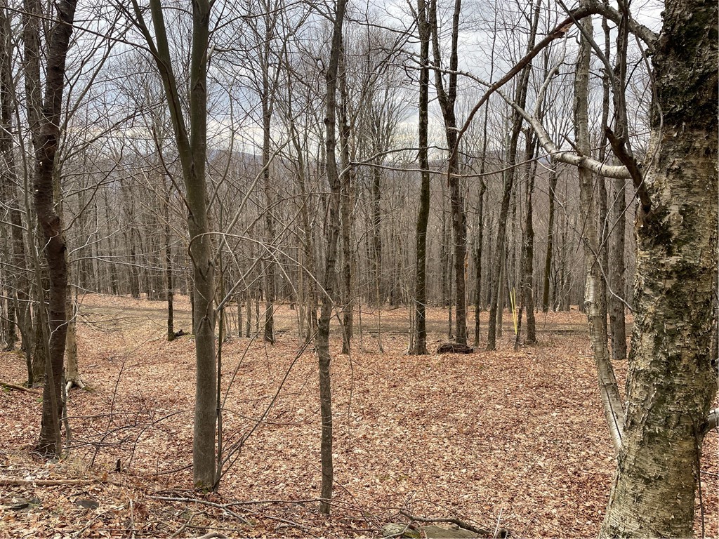 4-11 West Highland Road Hobart, NY 13788 - Photo 11 of 13