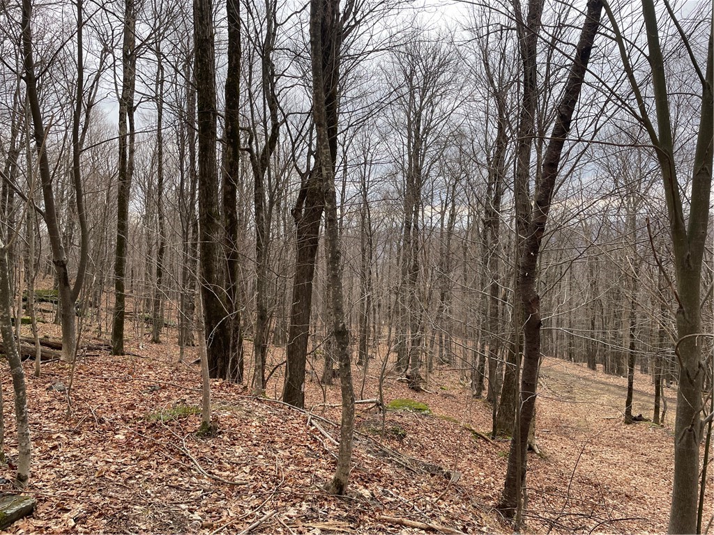 4-11 West Highland Road Hobart, NY 13788 - Photo 12 of 13