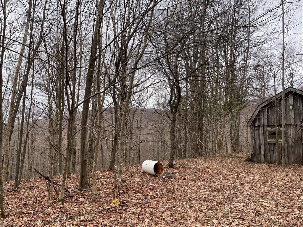 4-11 West Highland Road Hobart, NY 13788 - Photo 2 of 13