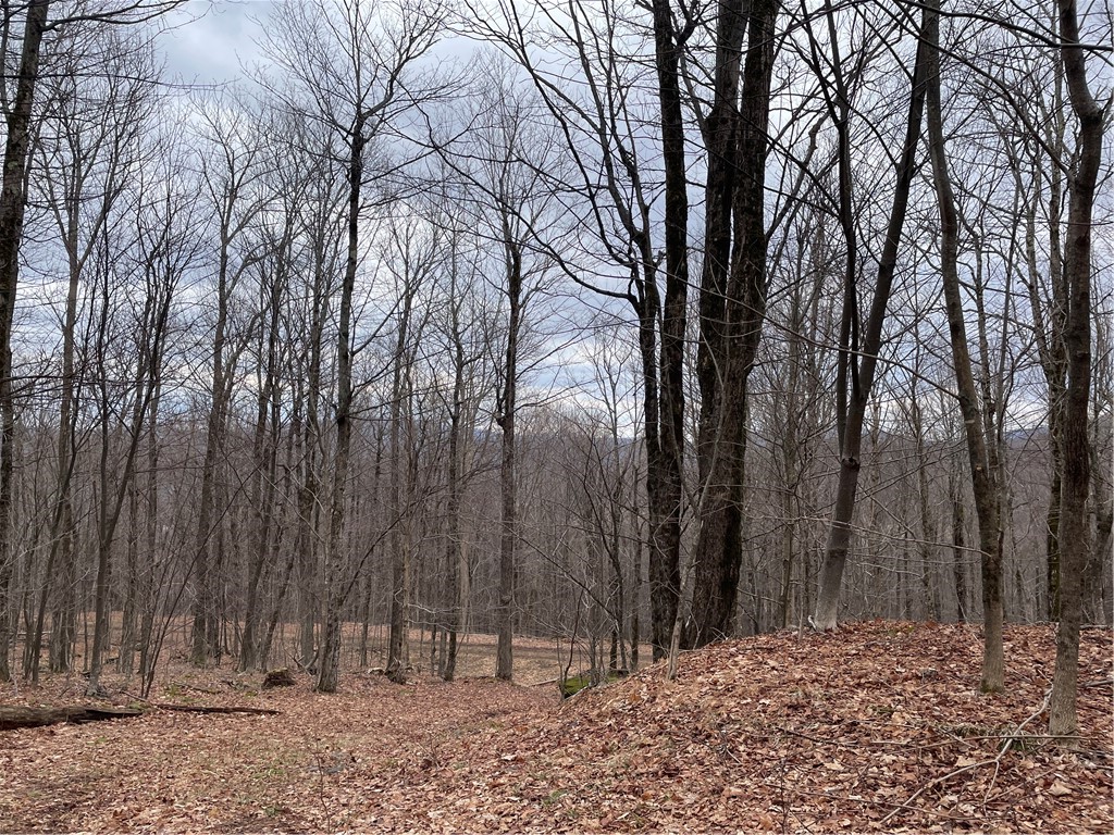 4-11 West Highland Road Hobart, NY 13788 - Photo 3 of 13