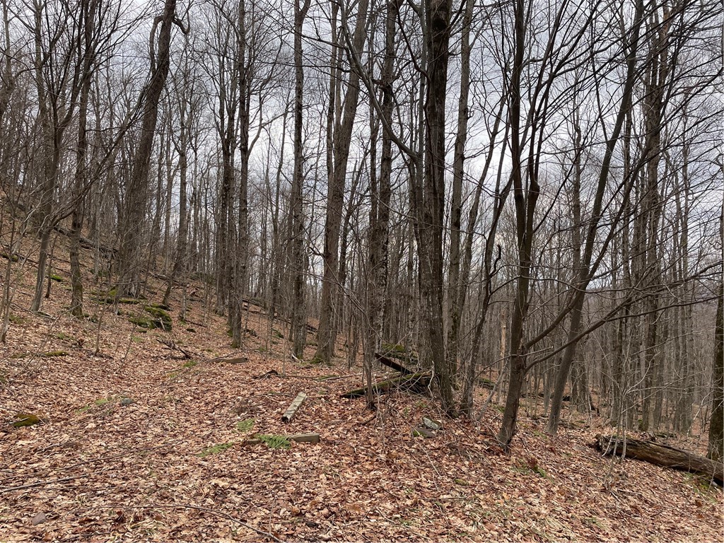 4-11 West Highland Road Hobart, NY 13788 - Photo 4 of 13