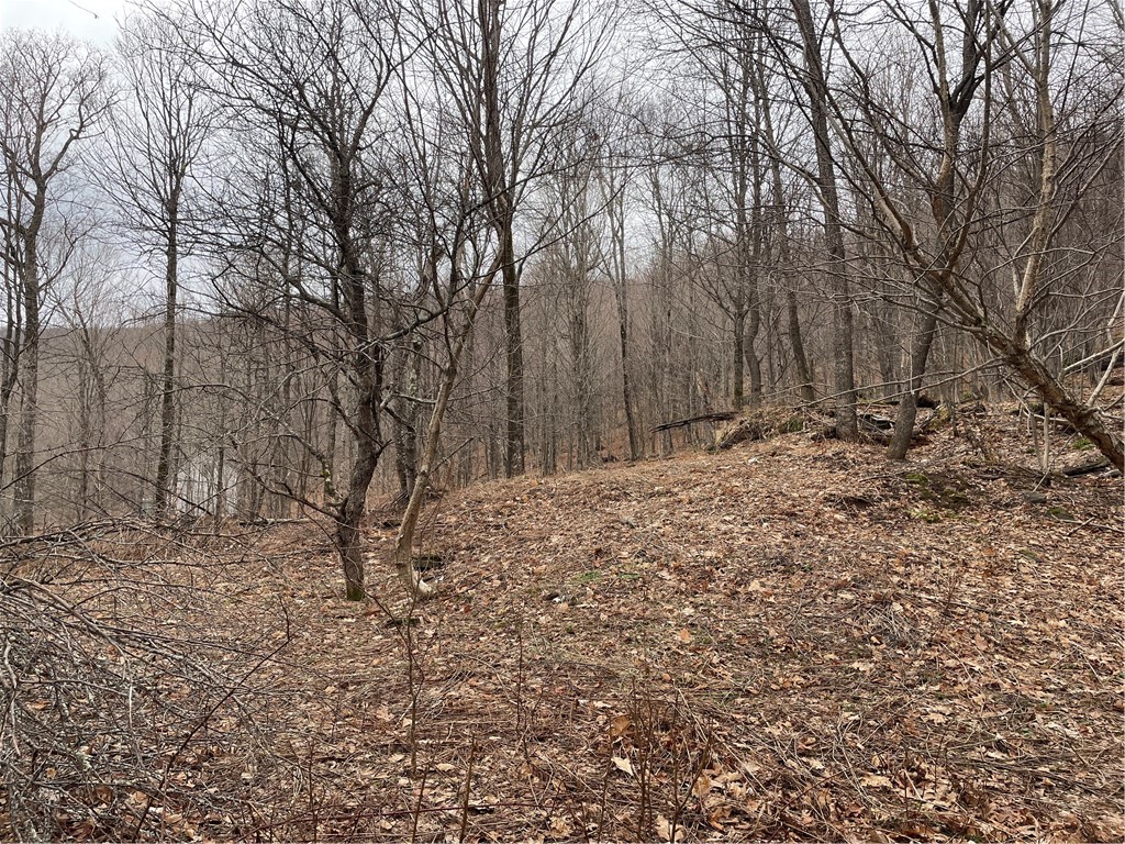 4-11 West Highland Road Hobart, NY 13788 - Photo 5 of 13
