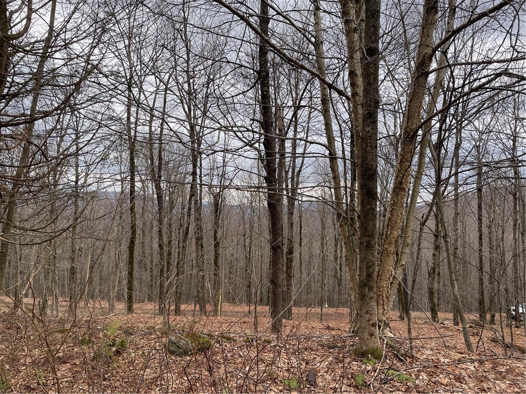 4-11 West Highland Road Hobart, NY 13788 - Photo 6 of 13