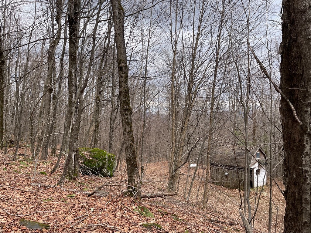 4-11 West Highland Road Hobart, NY 13788 - Photo 7 of 13