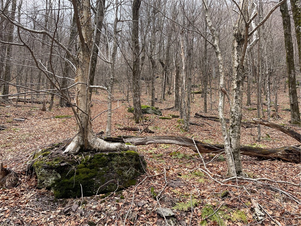 4-11 West Highland Road Hobart, NY 13788 - Photo 8 of 13