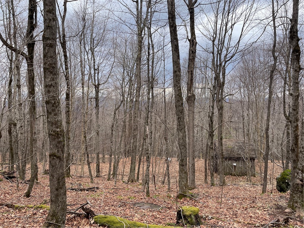 4-11 West Highland Road Hobart, NY 13788 - Photo 10 of 13