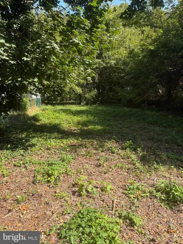 a view of a garden with an outdoor space