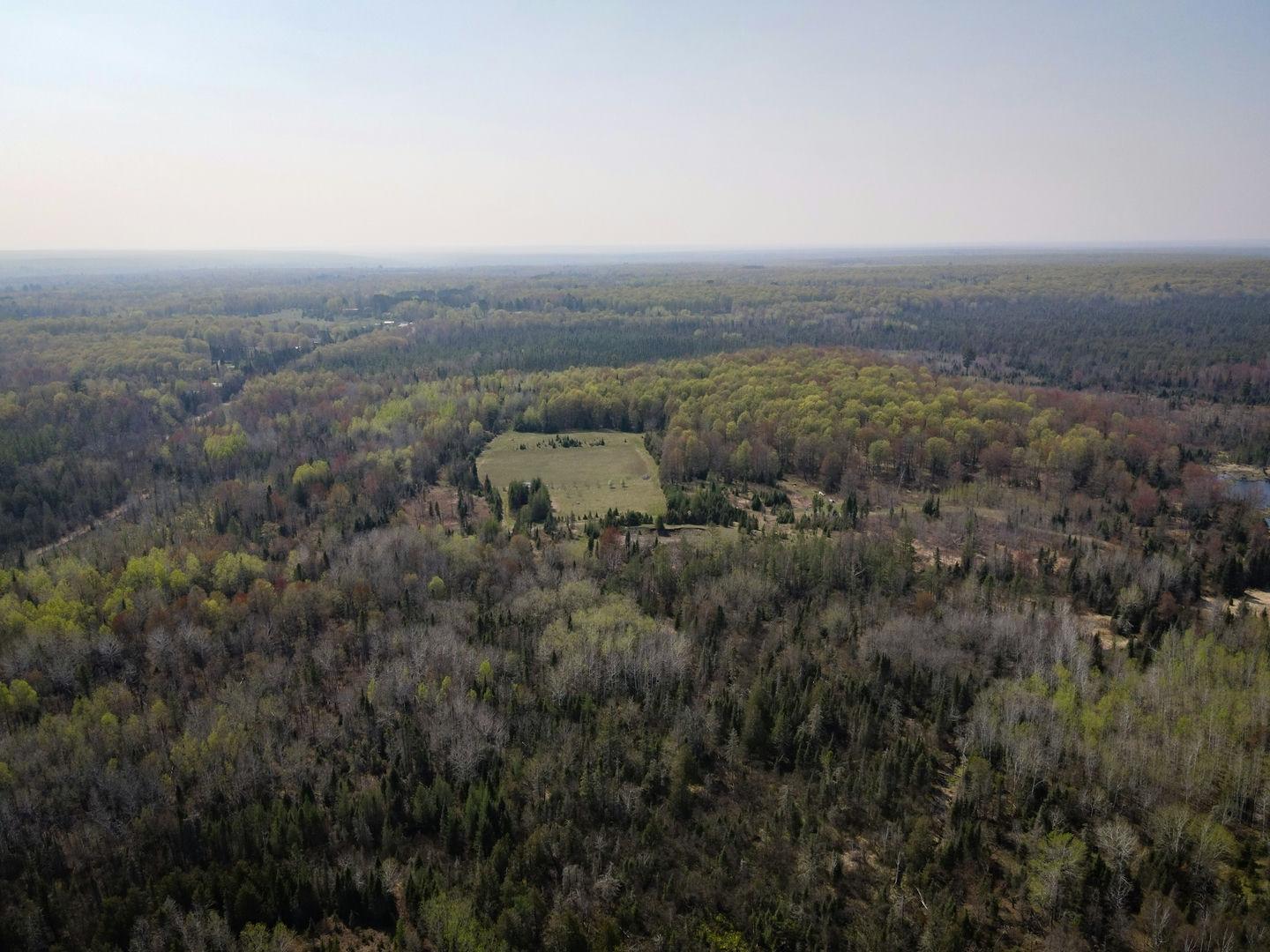 Tbd Parks Farm Road Crystal Falls, MI 49920 - Photo 3 of 11 Gallery Image 3