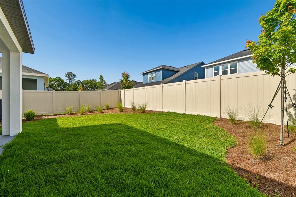 5836 Native Oak Street Mount Dora, FL 32757 - Photo 32 of 39 a view of a backyard