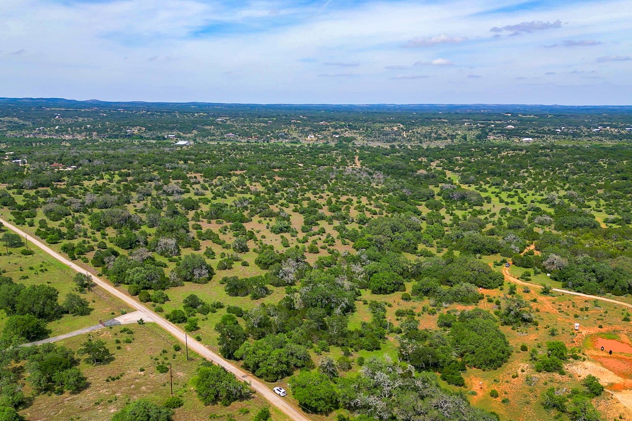 a view of a city with lush green forest