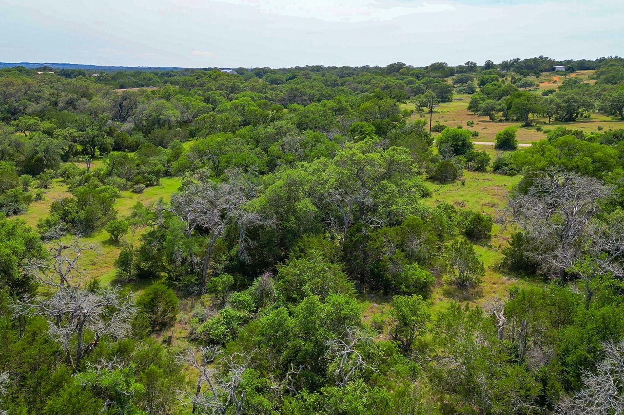 Tbd Althaus Ranch Road Johnson City, TX 78636 - Photo 12 of 36 a view of a lush green forest with lots of trees