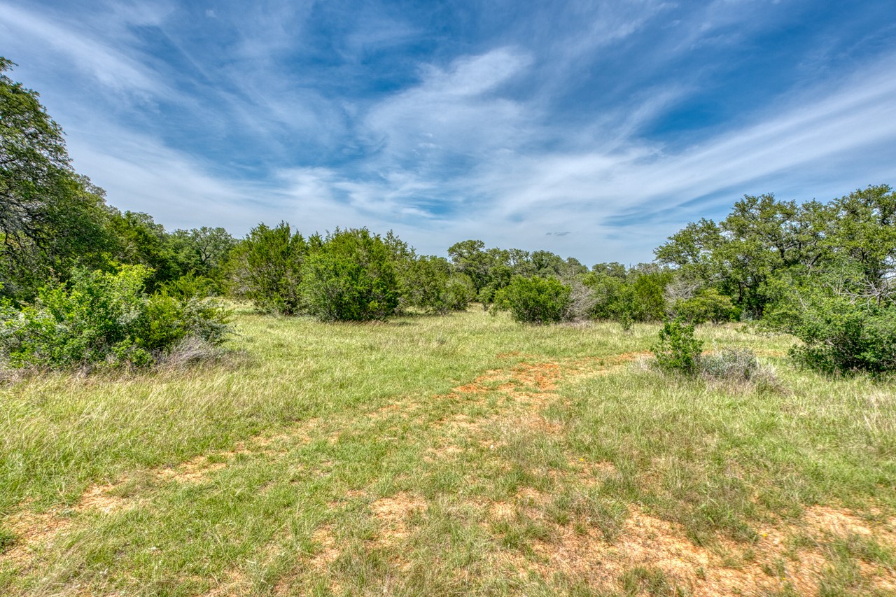 Tbd Althaus Ranch Road Johnson City, TX 78636 - Photo 17 of 36 a big yard with lots of green space and plants