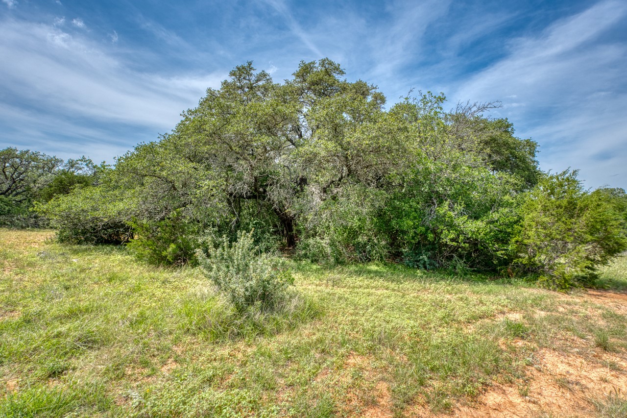 Tbd Althaus Ranch Road Johnson City, TX 78636 - Photo 18 of 36