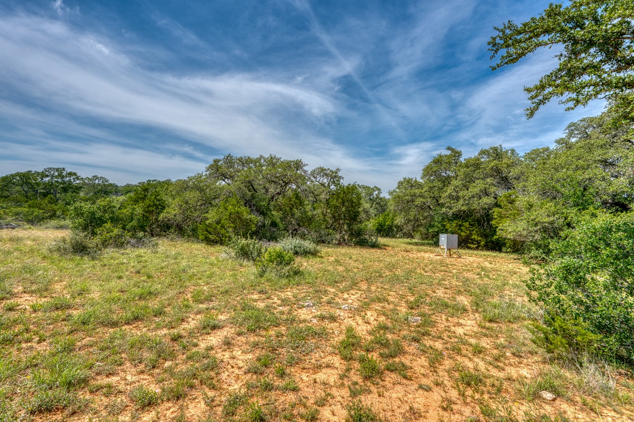 Tbd Althaus Ranch Road Johnson City, TX 78636 - Photo 19 of 36 a view of a yard with a tree