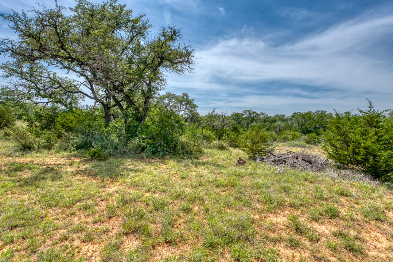 Tbd Althaus Ranch Road Johnson City, TX 78636 - Photo 20 of 36 a view of a yard with an trees