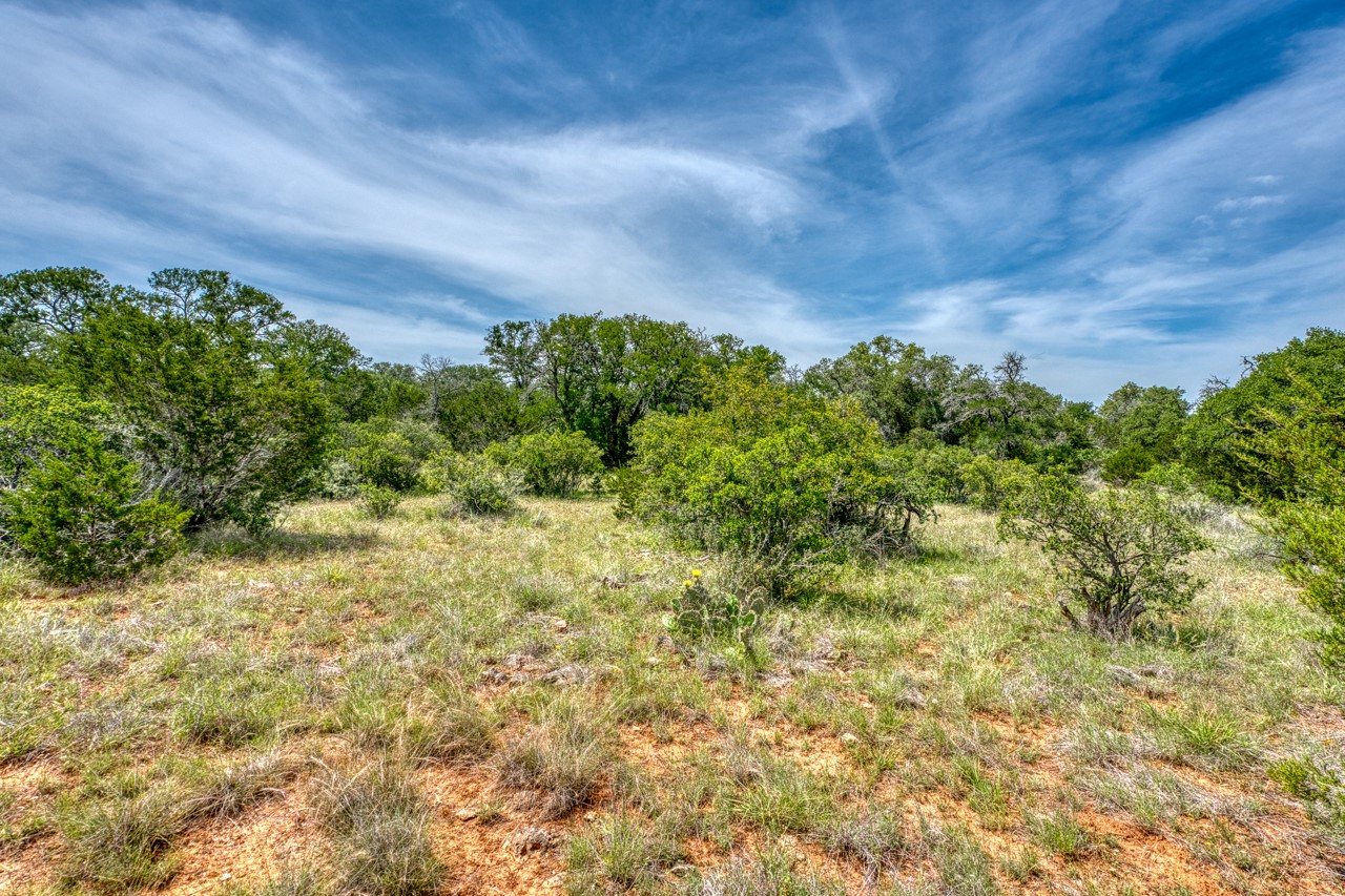 Tbd Althaus Ranch Road Johnson City, TX 78636 - Photo 21 of 36 a view of a bunch of trees and bushes