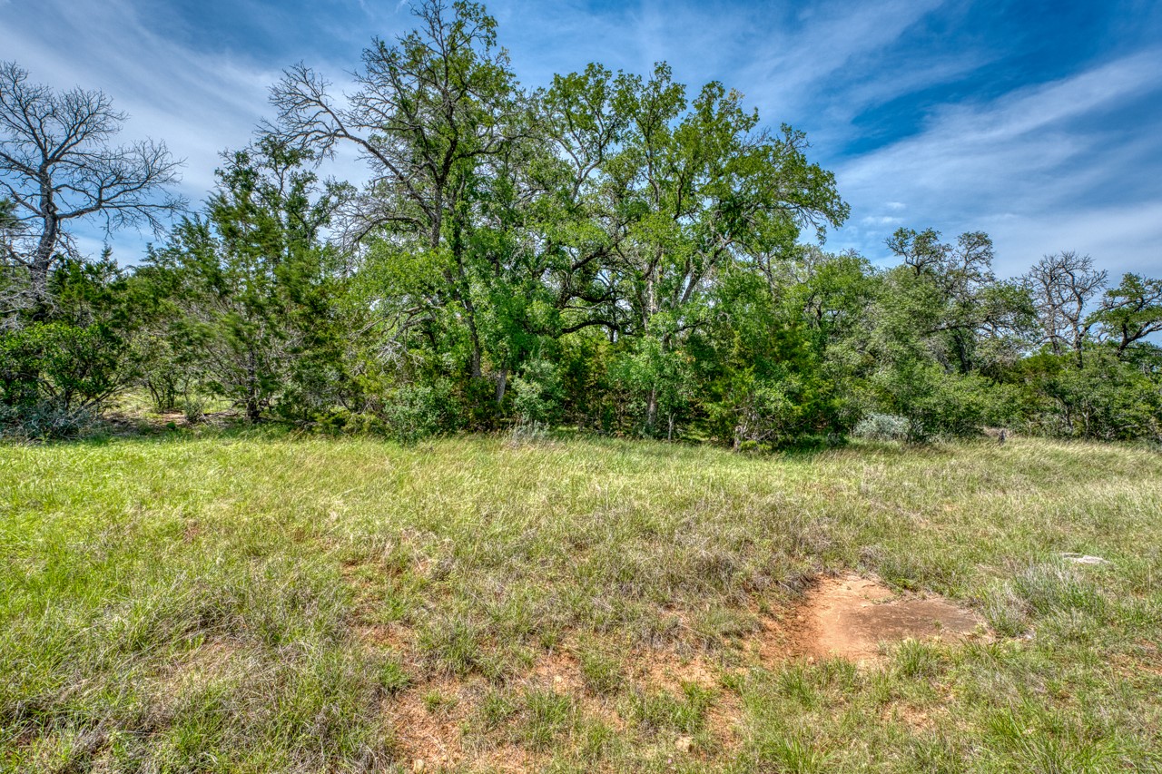Tbd Althaus Ranch Road Johnson City, TX 78636 - Photo 22 of 36 a view of a yard with a tree