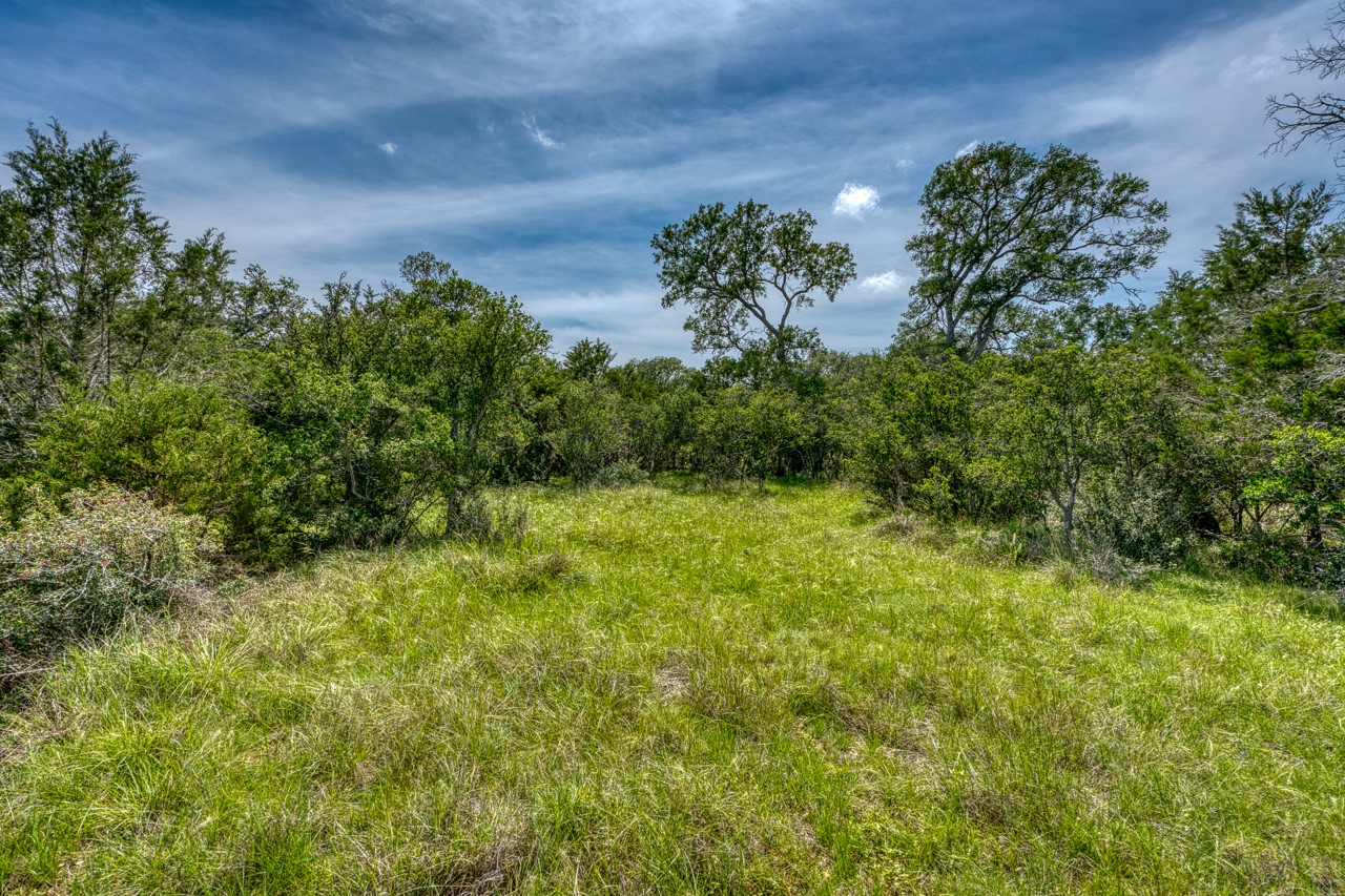 Tbd Althaus Ranch Road Johnson City, TX 78636 - Photo 23 of 36