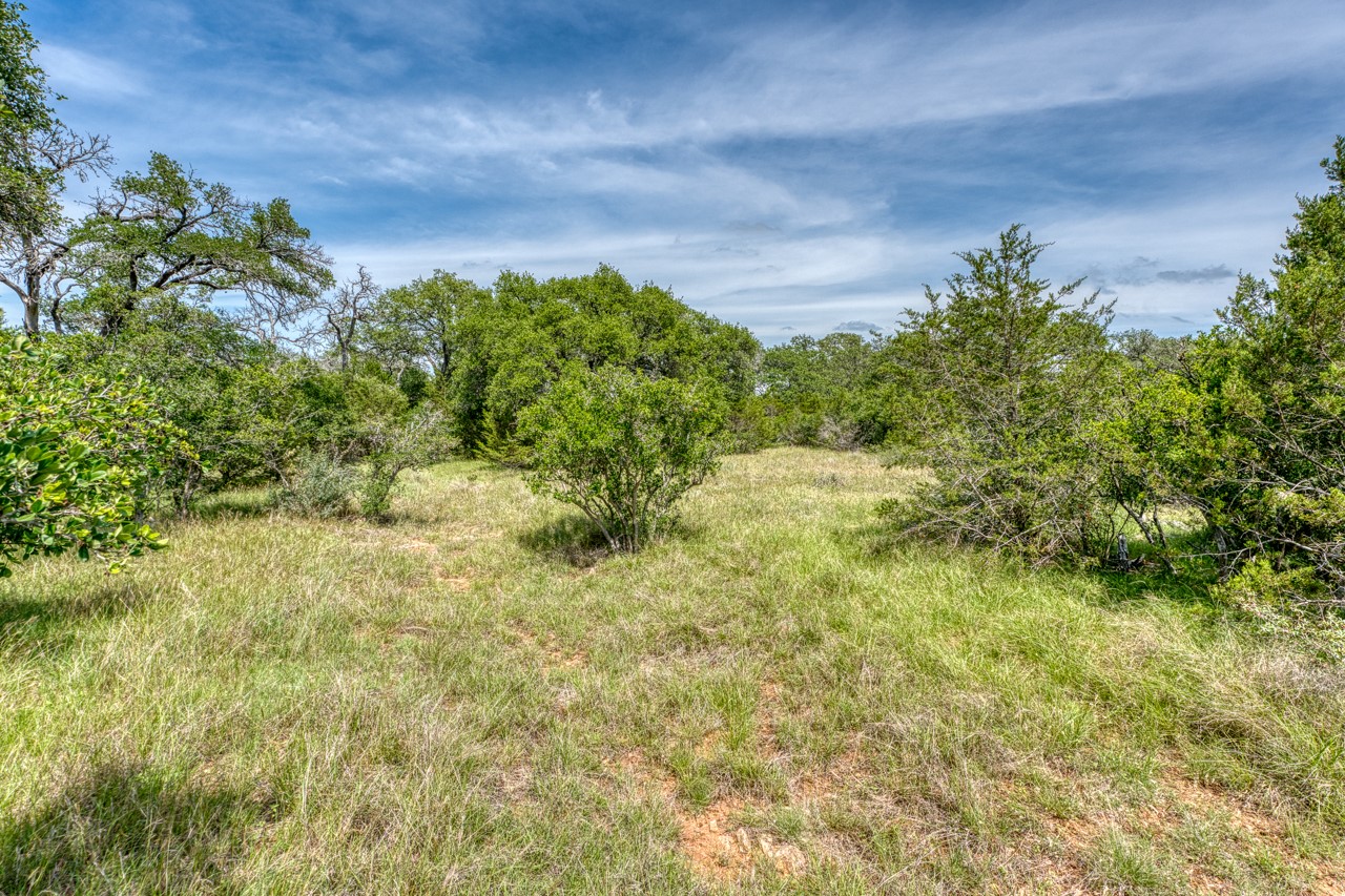 Tbd Althaus Ranch Road Johnson City, TX 78636 - Photo 24 of 36 a backyard of a house with lots of green space
