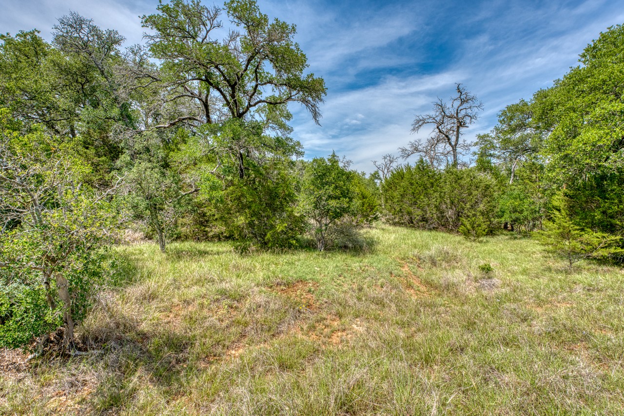 Tbd Althaus Ranch Road Johnson City, TX 78636 - Photo 25 of 36 a view of a yard with plants and a tree