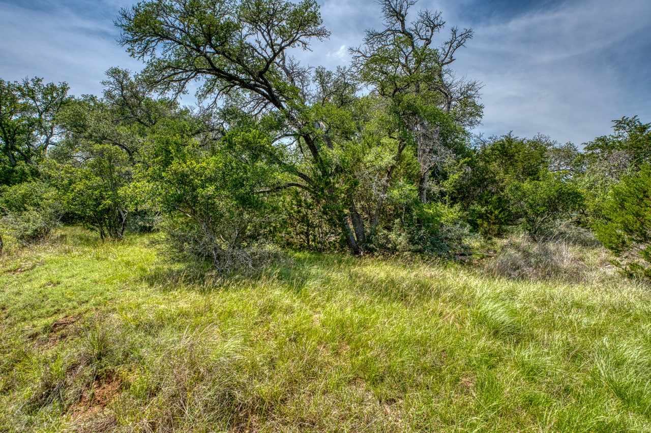 Tbd Althaus Ranch Road Johnson City, TX 78636 - Photo 26 of 36 a view of a yard