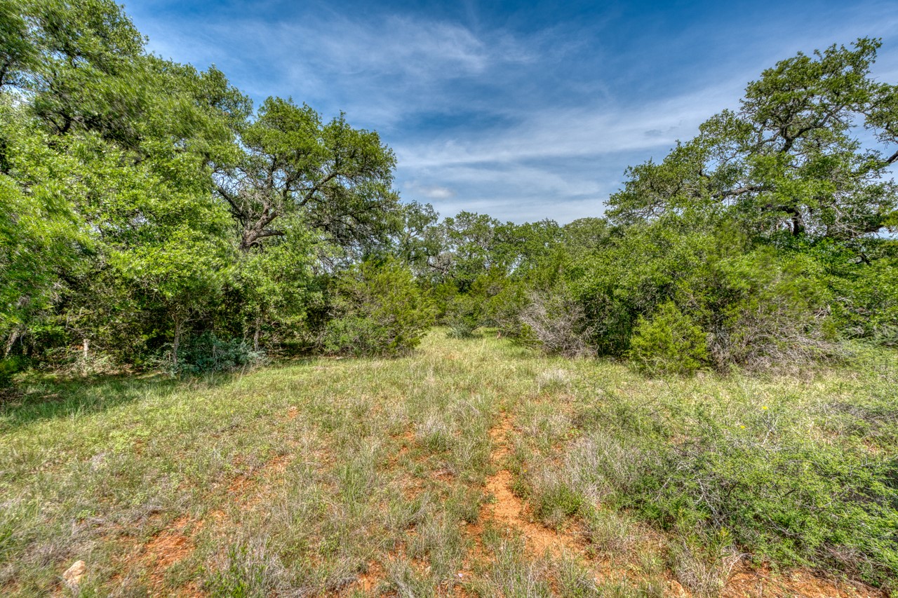 Tbd Althaus Ranch Road Johnson City, TX 78636 - Photo 27 of 36 a view of a yard with plants and large trees