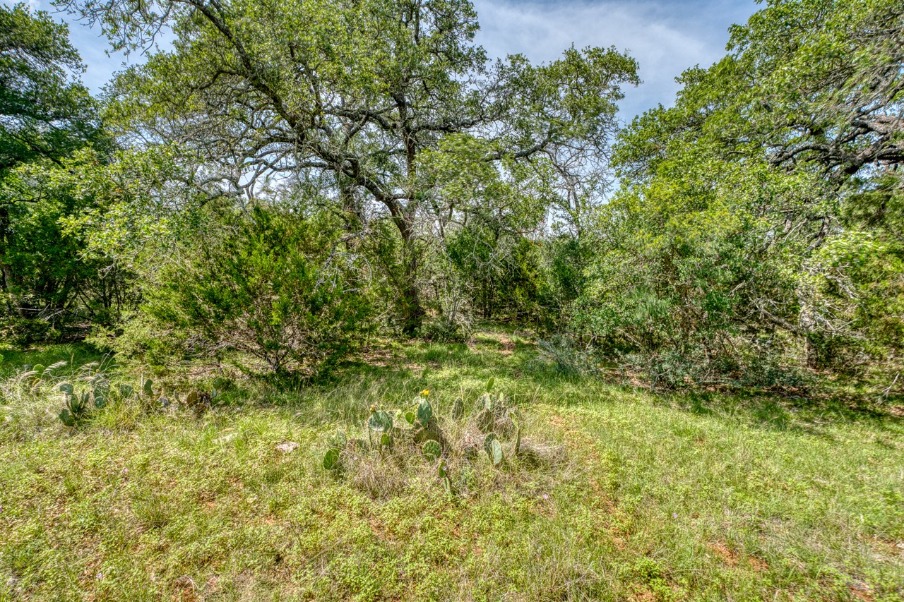 Tbd Althaus Ranch Road Johnson City, TX 78636 - Photo 28 of 36 a view of a yard