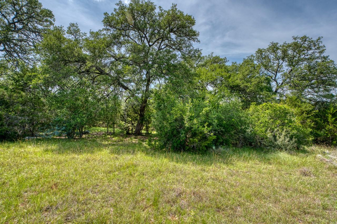 Tbd Althaus Ranch Road Johnson City, TX 78636 - Photo 29 of 36 a view of a lake with a yard