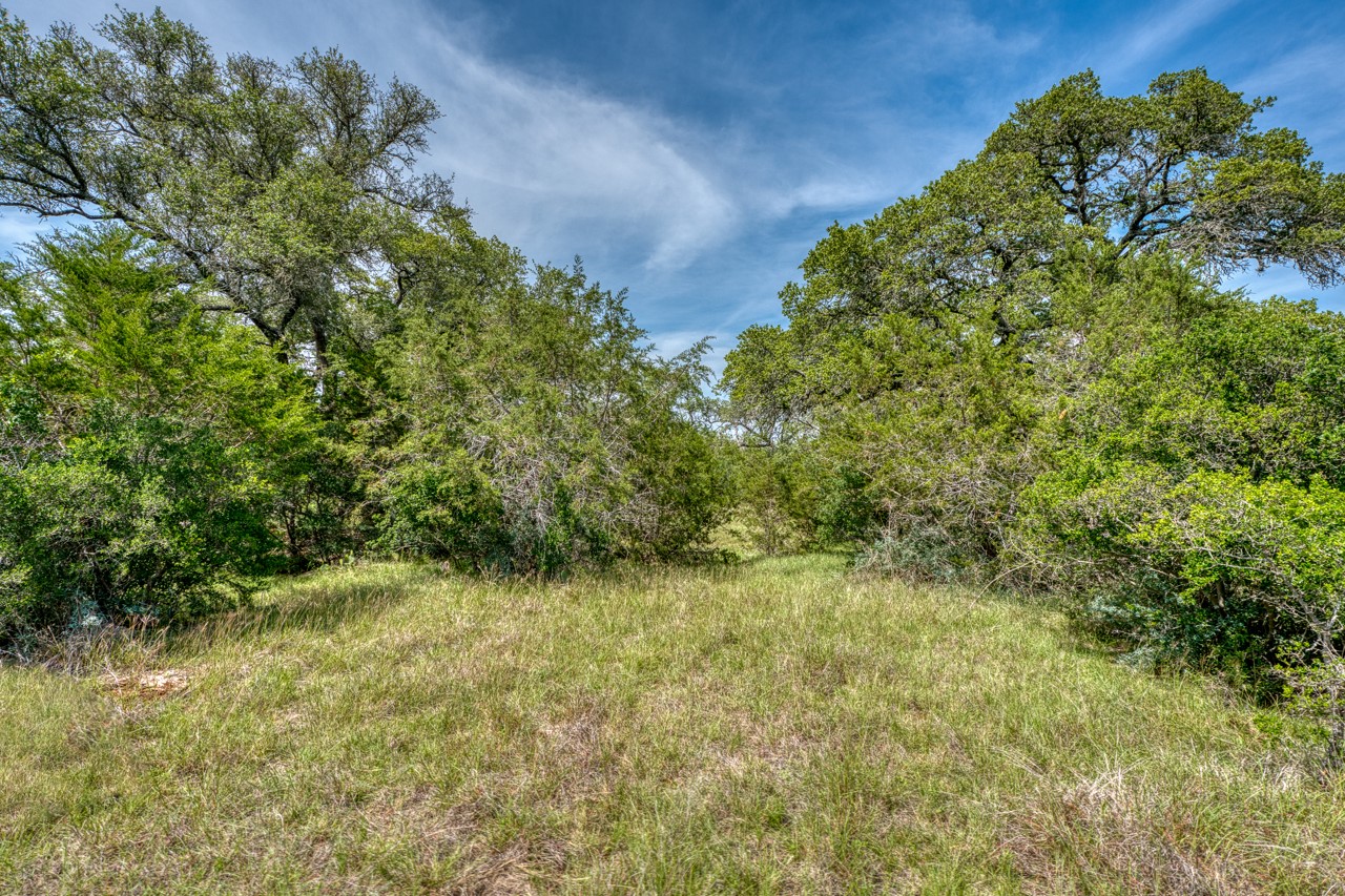 Tbd Althaus Ranch Road Johnson City, TX 78636 - Photo 30 of 36 a view of a yard with a tree